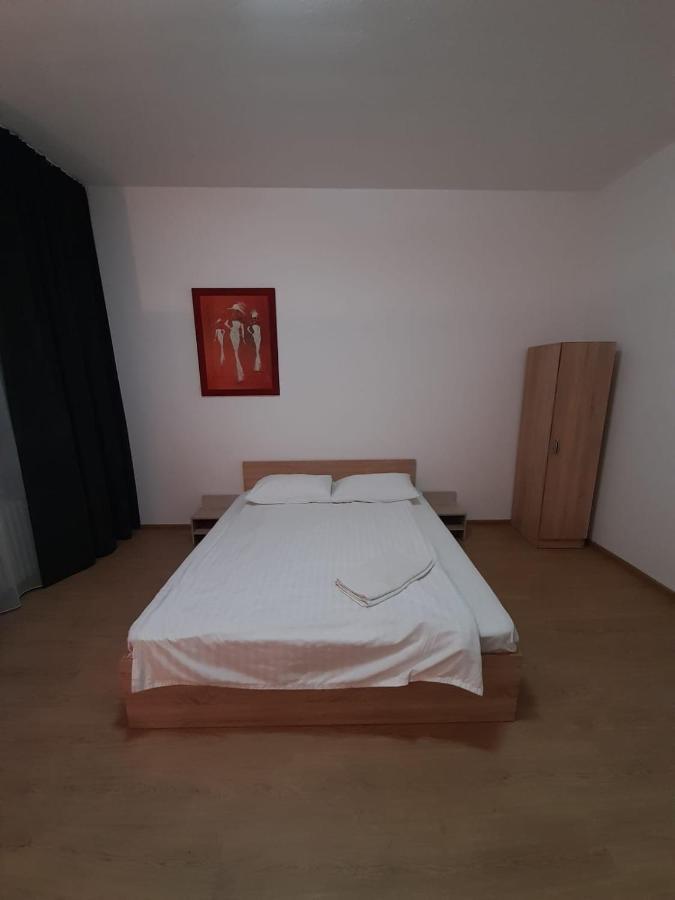 Piata Unirii- 1 Room Studio Apartment Timişoara Exteriör bild