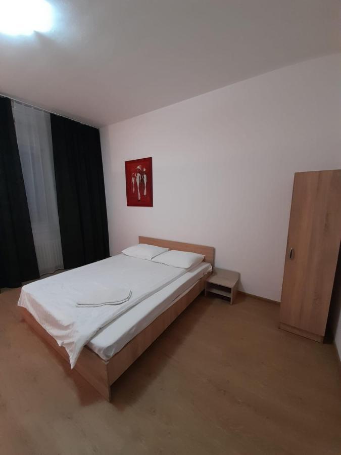 Piata Unirii- 1 Room Studio Apartment Timişoara Exteriör bild