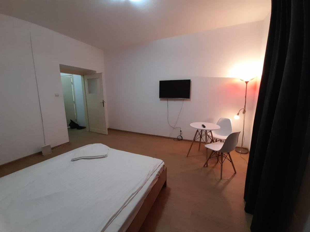 Piata Unirii- 1 Room Studio Apartment Timişoara Exteriör bild