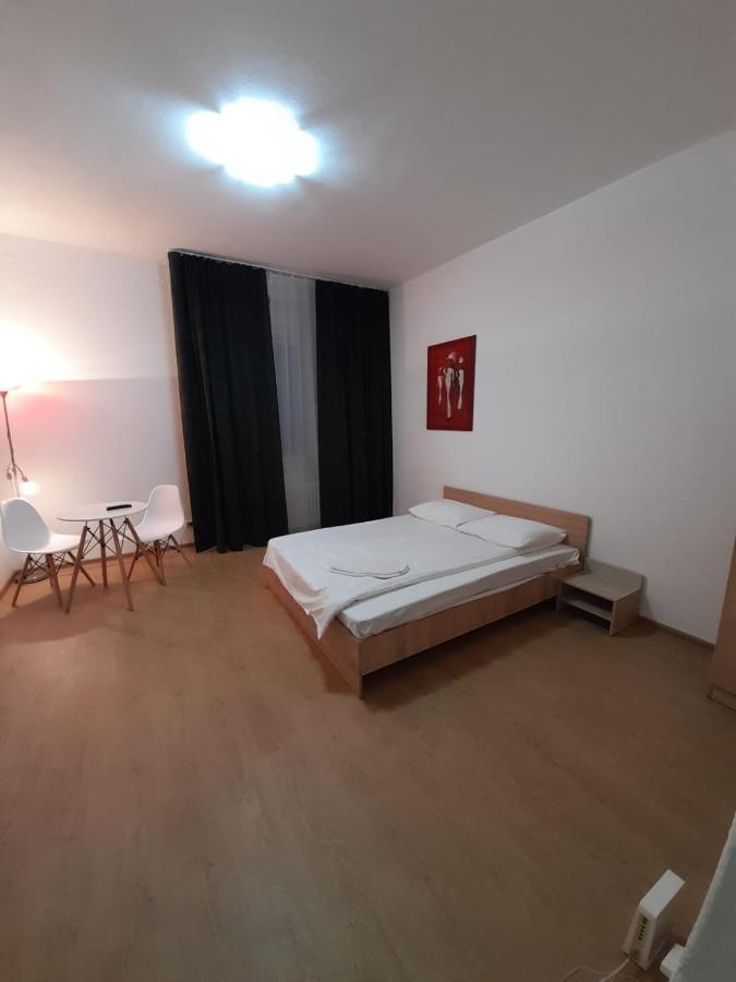 Piata Unirii- 1 Room Studio Apartment Timişoara Exteriör bild